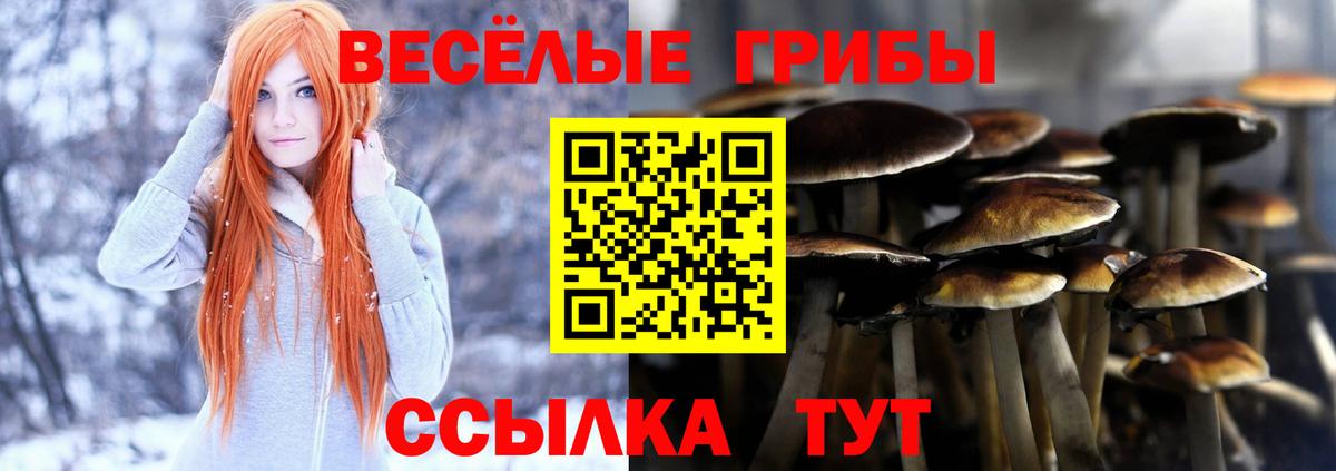 Галлюциногенные грибы ЛСД Чернушка
